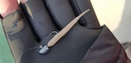 アジング　辰ヶ浜