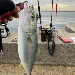 デイアジングで・・・えっ!