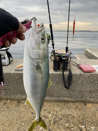 デイアジングで・・・えっ!