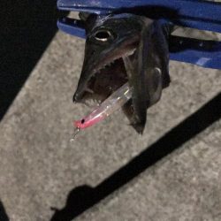 ライズの正体は…