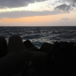 雄ヤリイカシーズン終盤…