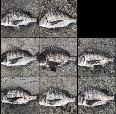 イチノ兄弟、釣果！