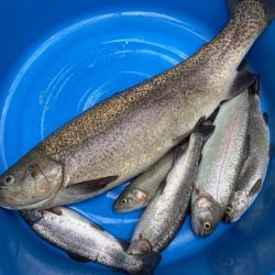 服部緑地　悟空さんとおしゃべり