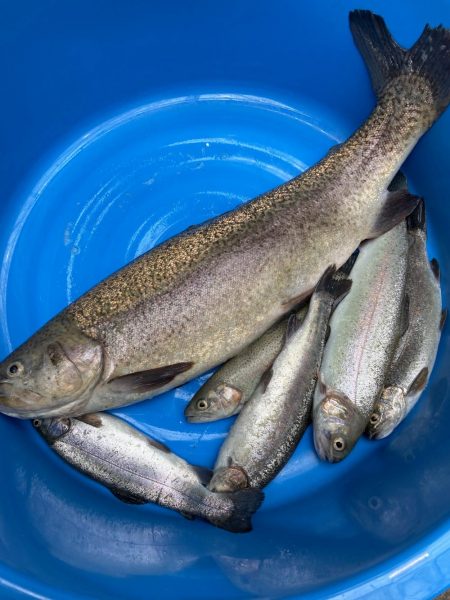 服部緑地　悟空さんとおしゃべり