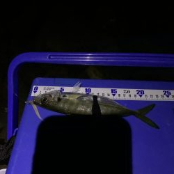 フロートアジング