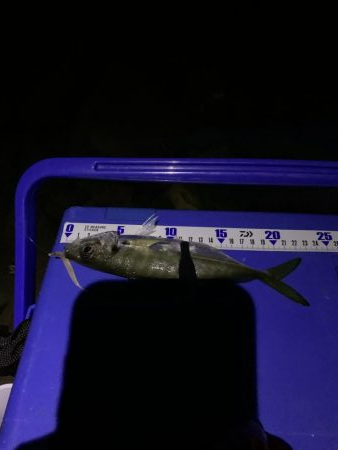 フロートアジング