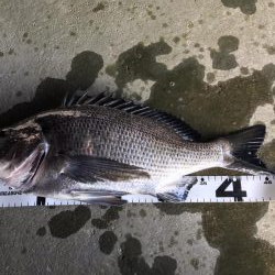 イチノ兄弟、釣果！