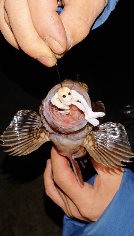 ダイソーで売ってるおもちゃのガイコツで