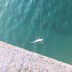 会議の前に大事件