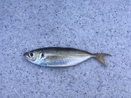 今シーズン1番の寒さ