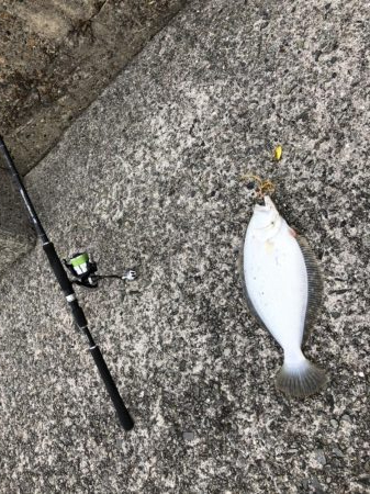 ショアタイラバ