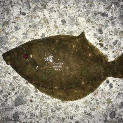 厳寒期は餌を楽しむ