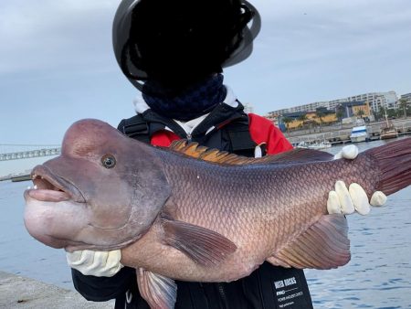 カンダイゲーム