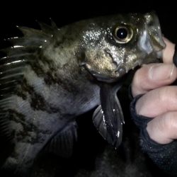 ２月もよろしくお願いします！！