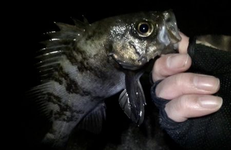 ２月もよろしくお願いします！！