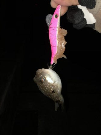 粘ってようやくゲット