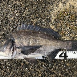 イチノ兄弟、釣果！