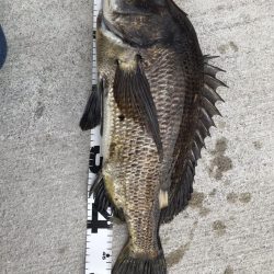 イチノ兄弟、釣果!