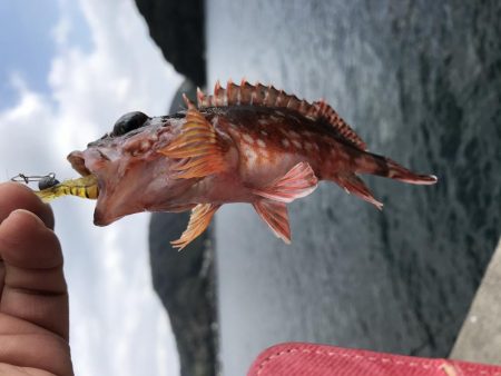 京都ラスト釣り