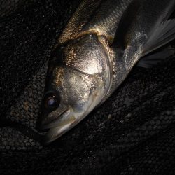 さむい…ちべた～い