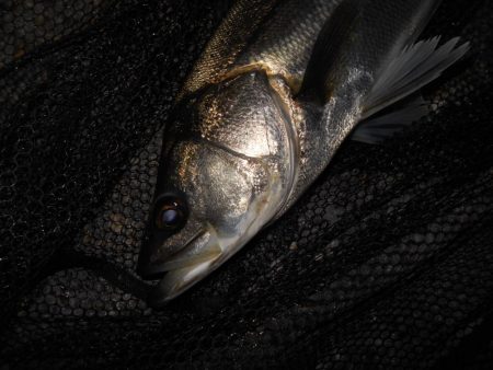 さむい…ちべた～い