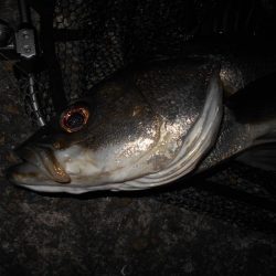 足元も忘れずに…