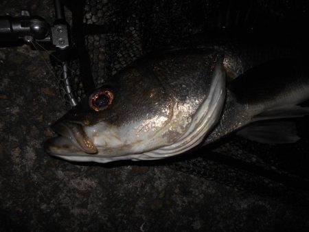 足元も忘れずに…