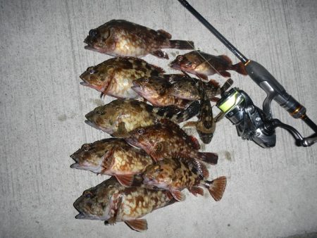 今夜も荒れてます