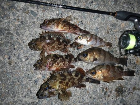 本日も荒れてます