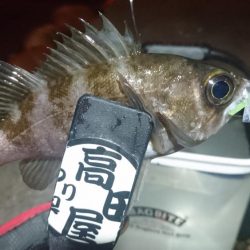 ボトム攻め！！