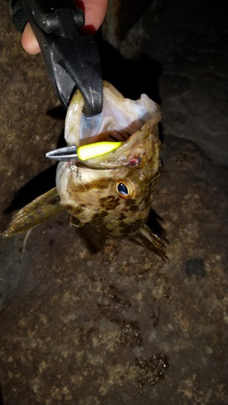 タケノコゲーム