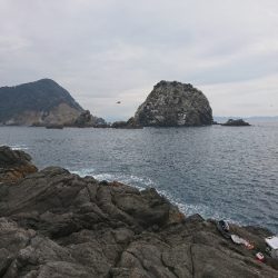 御五神で連続のグレ釣り