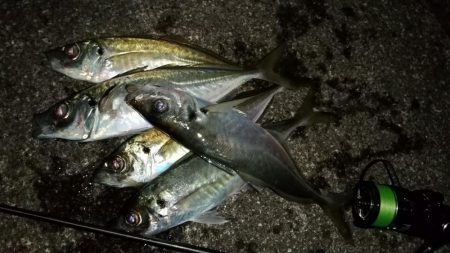 アジングでナイトゲーム