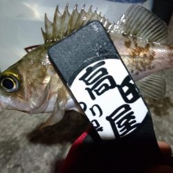 今夜もボトム！！