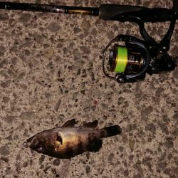 渋い!引き出し少ない