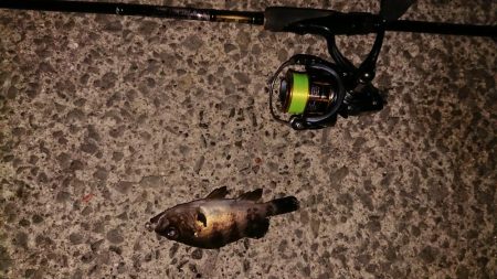 渋い！引き出し少ない