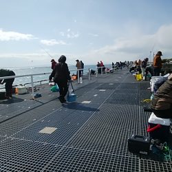 まだまだ釣れてるよ!