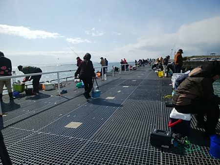 まだまだ釣れてるよ!