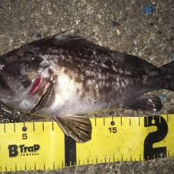 ぶらワーミング！！