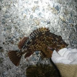 場所を変えてみた