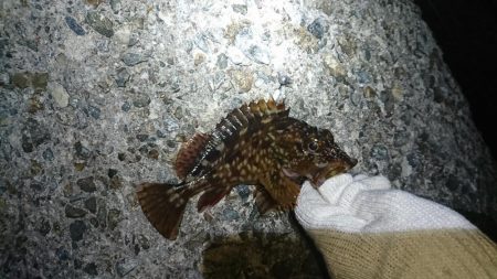 場所を変えてみた