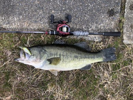 春を感じそうな陸っぱり