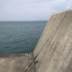 超絶久しぶりに釣れた〜❗️