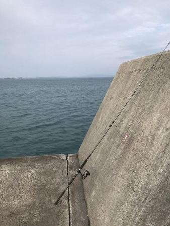 超絶久しぶりに釣れた〜❗️