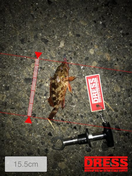 神戸ランガンライトゲーム2月3日リールもまく