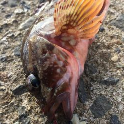 穴たと再会⁉︎