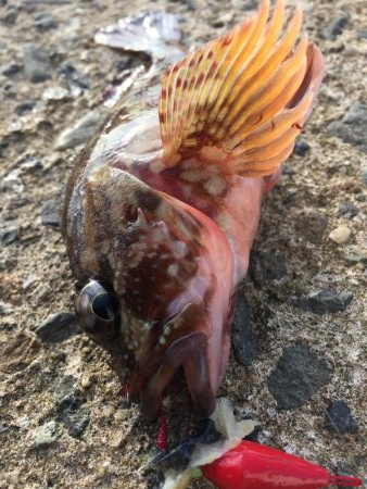 穴たと再会⁉︎