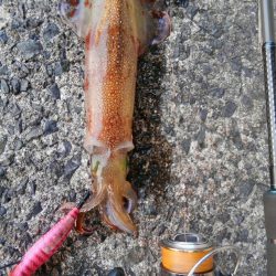 時合は、一瞬？