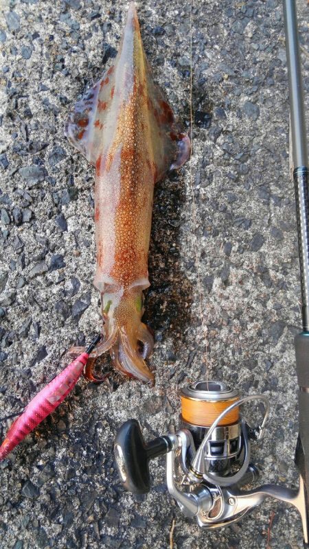 時合は、一瞬？