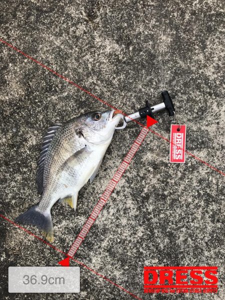 2月25日流れに逆らい連発